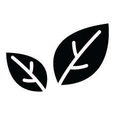 Plant-based skincare symbol
