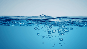Water Is the Real Cleanser: Why Shampoo Isn’t Doing All the Work